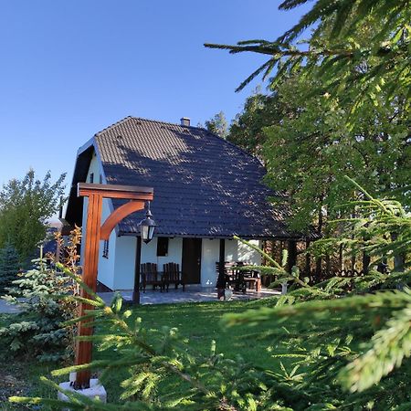 Vila Hajdi Planina Tara Баина-Башта Экстерьер фото