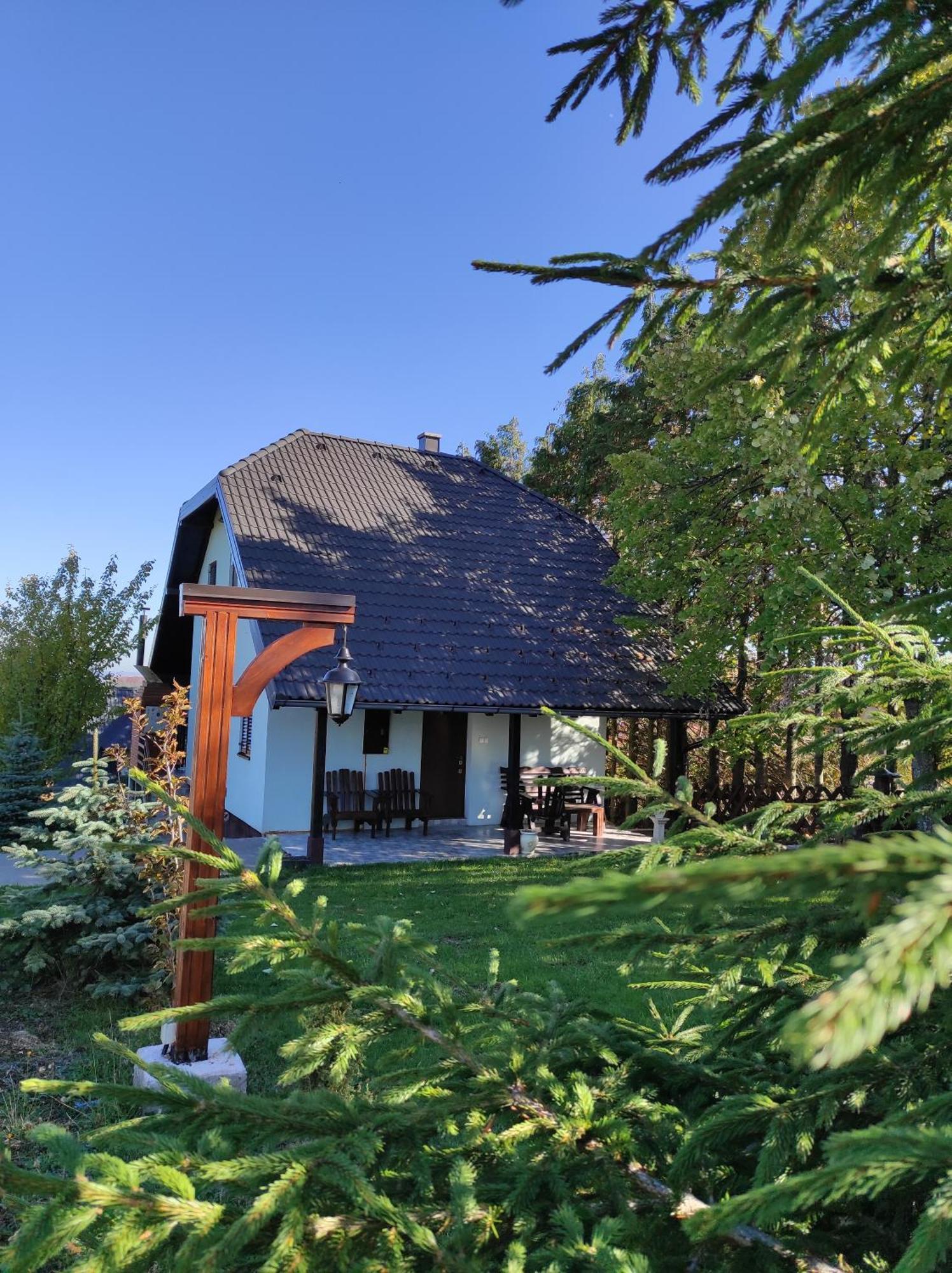 Vila Hajdi Planina Tara Баина-Башта Экстерьер фото