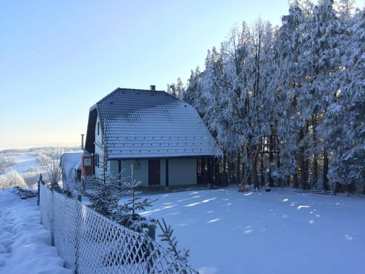 Vila Hajdi Planina Tara Баина-Башта Экстерьер фото
